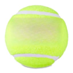 Tennis Balls, 2 Count