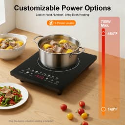 Portable Induction Burner, 750W Electric Induction Countertop Burner with Touch Panel, 8Cooking Preset Programs, Temp Adjustable for Home RV Dorm