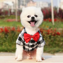 Pet Dog Clothes Plaid Shirt Suit Tie Gown Spring Summer Puppy Coat Teddy Bear Pomeranian Vest Small-Medium Dog Cat Pet Costume