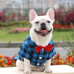 Pet Dog Clothes Plaid Shirt Suit Tie Gown Spring Summer Puppy Coat Teddy Bear Pomeranian Vest Small-Medium Dog Cat Pet Costume