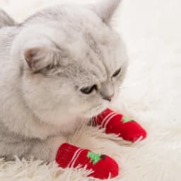 4Pcs/set Cute Pet Fashion Pet Socks Anti Slip Skid Bottom Lovely Puppy Dogs Pet Knits Socks for Cats Dog Toy Supplies