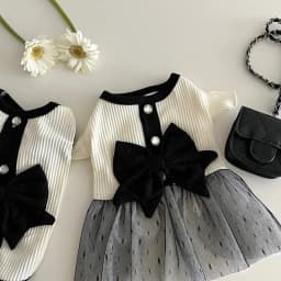 Dog Princess Dress Cute Pet Dog Mesh Dress Kitten Puppy Pet Skirt Dog Summer Dress Bow Lace Korean Poodle Chihuahua Dog Clothes