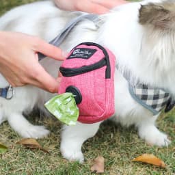 Pet Dog treat pouch Portable Multifunction Dog training bag Outdoor Travel Dog Poop Bag Dispenser Durable Pet accessories