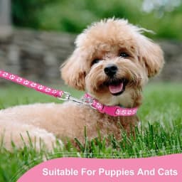 Dog Collar Leash Lead Nylon Adjustable Pet Leash Collar Dog Collar and Leash Set for Small Medium Large Dogs Puppy Pet Supplies