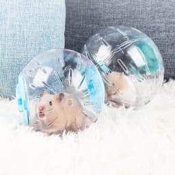10/12CM, Plastic Outdoor Sport Ball, Grounder, Rat, Small Pet, Jogging Ball, Hamster, Gerbil Exercise Ball, Play Toy Supplies