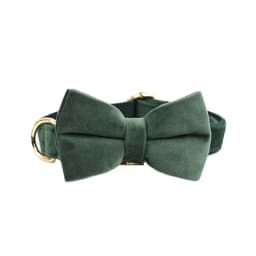 Personalized Velvet Dog Collar Harness Leash Set Custom Dog Collars Luxury Dog Collar Leashes Harness Bow Velvet10