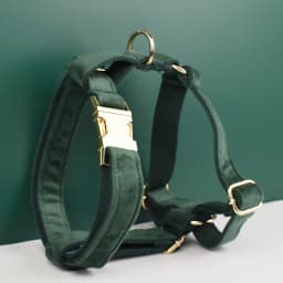 Personalized Velvet Dog Collar Harness Leash Set Custom Dog Collars Luxury Dog Collar Leashes Harness Bow Velvet10