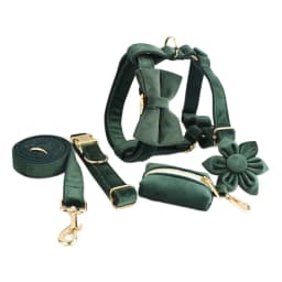 Personalized Velvet Dog Collar Harness Leash Set Custom Dog Collars Luxury Dog Collar Leashes Harness Bow Velvet10