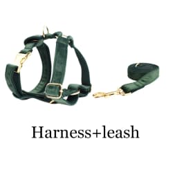 Personalized Velvet Dog Collar Harness Leash Set Custom Dog Collars Luxury Dog Collar Leashes Harness Bow Velvet10
