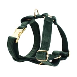 Personalized Velvet Dog Collar Harness Leash Set Custom Dog Collars Luxury Dog Collar Leashes Harness Bow Velvet10