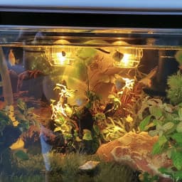 Aquarium Spotlight USB Colorful Gradient Diving Light LED Small Lamp For Romantic Fish Tank