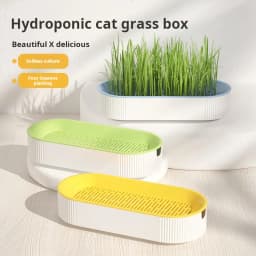 Hydroponic Cat Grass Box Cat Treats Catnip Hydroponic Soilless Planting Cat Grass Pot Set for Easy Growth