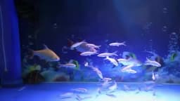 Dimmable LED Aquarium Lights 180W 140W Fish Tank Light For Freshwater Saltwater Aquarium Marine Reef Coral Lighting Decoration