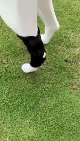 Pet Dog Bandages Dog Injurie Leg Knee Brace Strap Protection For Dogs Joint Bandage Wrap Doggy Medical Supplies Dogs Accessories
