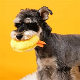 Fried Shrimp Tempura Dog Pet Chew Bite Squeaky Toy Cute Stuffed For Puppy Play Terrier Hond Shiba Yorkshire Corgi