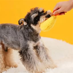 Fried Shrimp Tempura Dog Pet Chew Bite Squeaky Toy Cute Stuffed For Puppy Play Terrier Hond Shiba Yorkshire Corgi