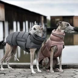Pet Dog Winter Warm Coat Clothes Down Jacket Waterproof Fleece Vest Thicken Coat Clothing for Dogs Puppy Cats Pet Costume
