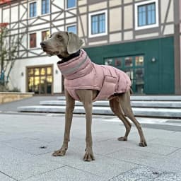 Pet Dog Winter Warm Coat Clothes Down Jacket Waterproof Fleece Vest Thicken Coat Clothing for Dogs Puppy Cats Pet Costume