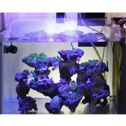 Aquarium Cover Fish Tank DIY Invisible Mesh Netting Multi Used Pet Netting Fence Durable Anti-Jumping Guard Aquarium Screen net