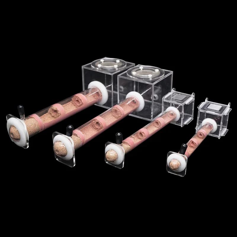 DIY Various Size Ant Farm Bamboo Tube Nest with Feeding Area Pet Anthill Workshop Queen Ant Breeding Nest Ant House Nest Bracket