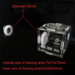 DIY Various Size Ant Farm Bamboo Tube Nest with Feeding Area Pet Anthill Workshop Queen Ant Breeding Nest Ant House Nest Bracket