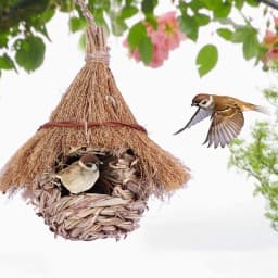 Wren Finch Hanging Bird House Hand Woven Bird Nesting House Grass Birds Hut Hummingbird House for Outside Indoor Lawn Patio Home