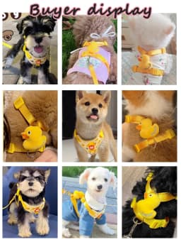 No Pull Cat Harness and Leash Set for Walking Escape Proof,Pet Photo Outf Mesh Lined Cat Vest Harness for Cats Small Medium Dogs