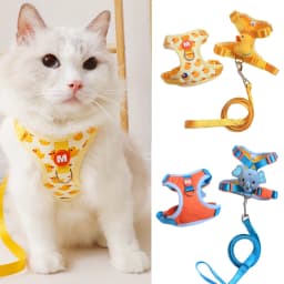 No Pull Cat Harness and Leash Set for Walking Escape Proof,Pet Photo Outf Mesh Lined Cat Vest Harness for Cats Small Medium Dogs