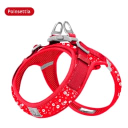 Truelove Floral Printing Mesh Harness for Dogs and Cats Small and Medium Breeds All Weather Adjustable Summer Walking TLH30131
