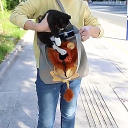 Waterproof Fabric Outdoor Cat Accessories Pet Travel Sling Carriers Handbag One Shoulder Canvas Pet Bag