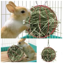 Hanging Long Chain Round Rabbit Grass Ball Small Metal Hamster Grass Ball Rack Guinea Pig Grass Feeder Pet Toy Pet Supplies