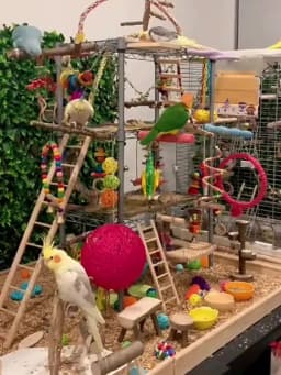 7pcs Pack Wood Parrot Toys Bird Toy Cage Bird Accessories Swing Suspension Bridge Ball Cage Bells Pet Supplies Set