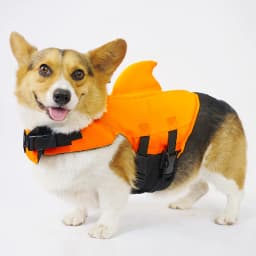 Summer Pet Swim Life Vest Jacket Adjustable Dog Swimsuit with Rescue Handle for Small Medium Dogs Ripstop Corgi Safety Clothes