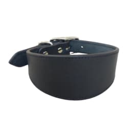 Wide Padded Dogs Collar Genuine Leathers Puppy Collars for Lurchers Italian Greyhounds Comfortable Pet Dogs Accessories B03E