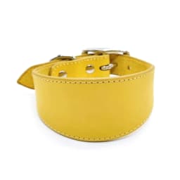 Wide Padded Dogs Collar Genuine Leathers Puppy Collars for Lurchers Italian Greyhounds Comfortable Pet Dogs Accessories B03E