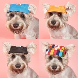 Dog Hat Summer Sunbonnet Dog Canvas Hat Adjustable Dog Baseball Hat Puppy Sports Sunscreen Windproof Cap Pet Supplies
