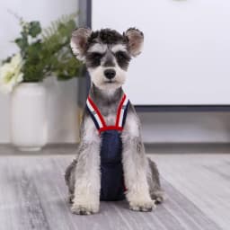 Denim French Bulldog Pet Physiological Pants Dot Female Dog Safety Sanitary Panties for Small Medium Dogs Cats Mascotas Shorts