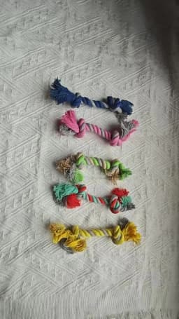 Pet Dog Double Knot Chewing Rope Knot Puppy Toy Clean Teeth Durable Braided Bone Rope Pet Molar Toy Pet Supplies Dog Supplies