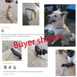 WAOPET PVC Waterproof Dog Collar for Large Medium and Small Dogs Pet Training Walking Dog German Shepherd Malinois New 2025