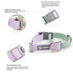 WAOPET PVC Waterproof Dog Collar for Large Medium and Small Dogs Pet Training Walking Dog German Shepherd Malinois New 2025