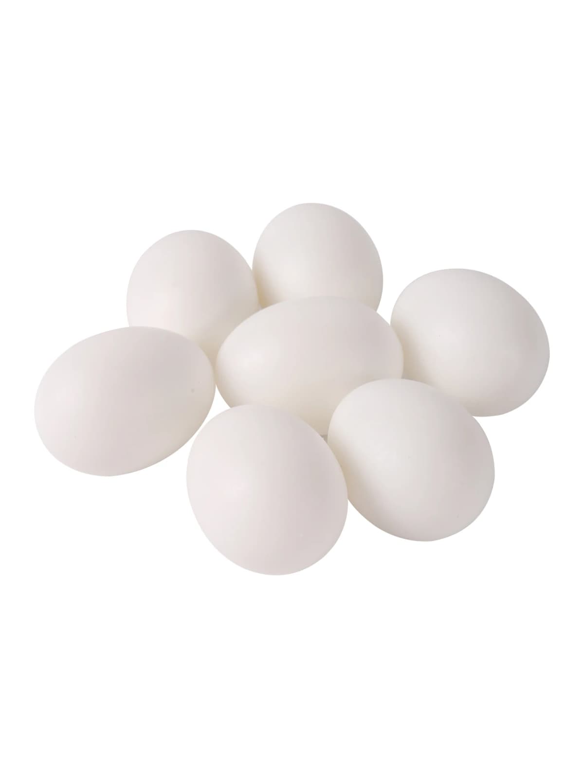 5Pcs Simulated Pigeon Eggs Simulated Fake Eggs Bird Racing Pigeon Hatching Supplies Bird Raising Tools Nest Hatching Eggs