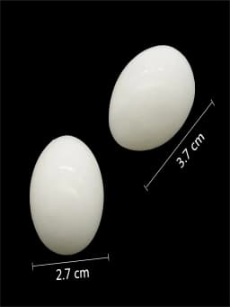 5Pcs Simulated Pigeon Eggs Simulated Fake Eggs Bird Racing Pigeon Hatching Supplies Bird Raising Tools Nest Hatching Eggs