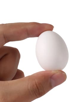 5Pcs Simulated Pigeon Eggs Simulated Fake Eggs Bird Racing Pigeon Hatching Supplies Bird Raising Tools Nest Hatching Eggs