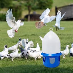 Bird Water Drinker Pigeon Water Dispenser Feeder Bird Cage Accessories Large Capacity Bird Cage Accessories with Hanging Handle