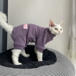 Fleece Coat for Sphynx Cat Warm Sweatshirt 4-legged Jumpsuit for Kittens Dogs Soft Loungewear for Male Cat Devon Rex Sweater