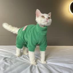 Fleece Coat for Sphynx Cat Warm Sweatshirt 4-legged Jumpsuit for Kittens Dogs Soft Loungewear for Male Cat Devon Rex Sweater