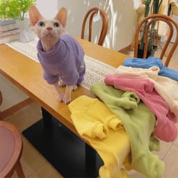 Fleece Coat for Sphynx Cat Warm Sweatshirt 4-legged Jumpsuit for Kittens Dogs Soft Loungewear for Male Cat Devon Rex Sweater