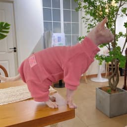 Fleece Coat for Sphynx Cat Warm Sweatshirt 4-legged Jumpsuit for Kittens Dogs Soft Loungewear for Male Cat Devon Rex Sweater