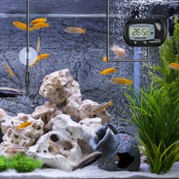 2/4/8Pcs LCD Digital Aquarium Thermometer, Fish Tank Thermometer With Water-Resistant Sensor Probe And Suction Cup For Reptile