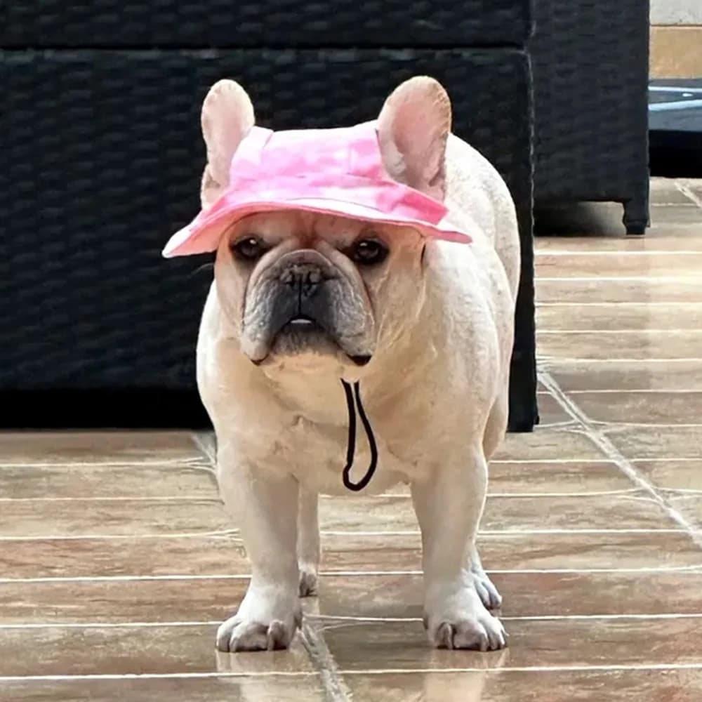 Cute French Bulldog Pet Hats with Ear Holes Adjustable Puppy Dog Cap Hat for Small Medium Dogs Pug Mascotas Accessories Costume